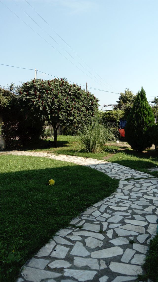 Nikole Pašića 15, Markovac - 2