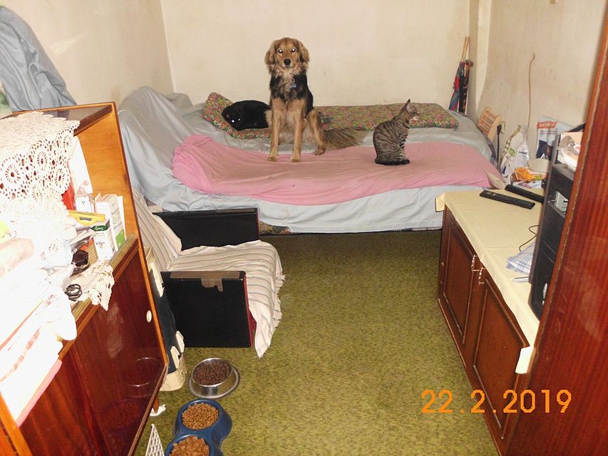 Bregalnička 28, Beograd - 20