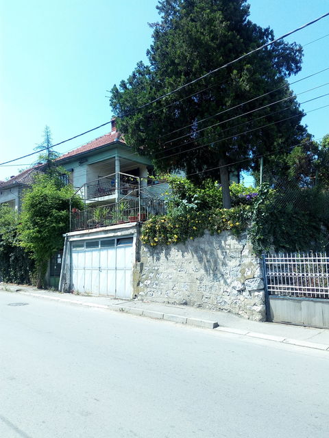 Hajduk Stanka 16, Beograd