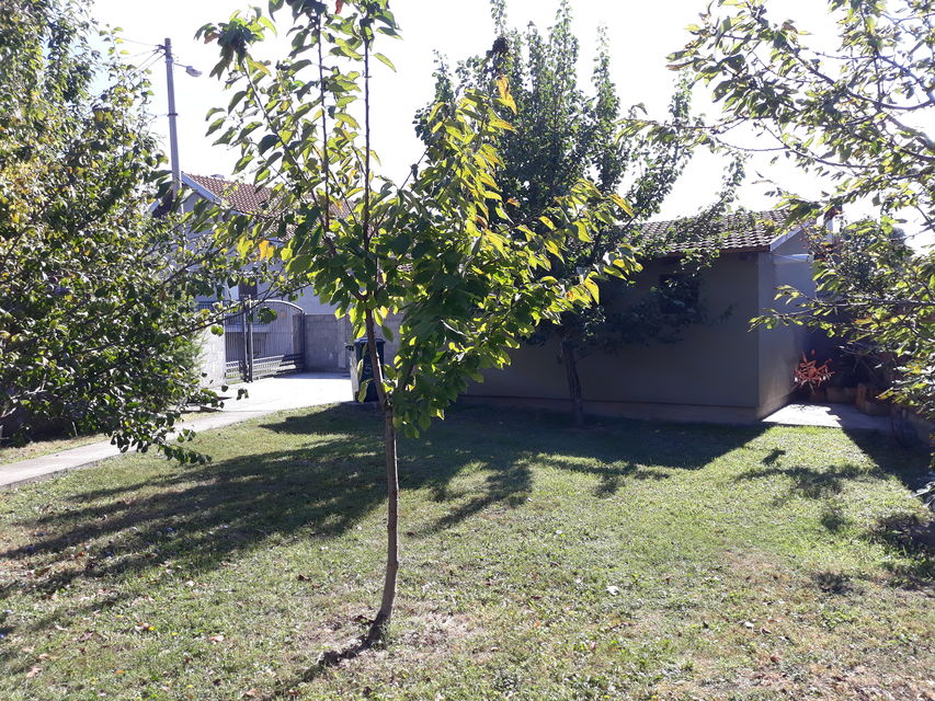 Titelska 38, Beograd - 2