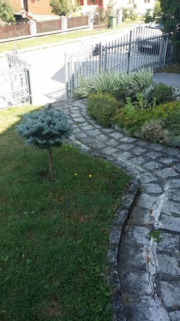 Kraljice Drage Obrenović 9, Gornji Milanovac - 20