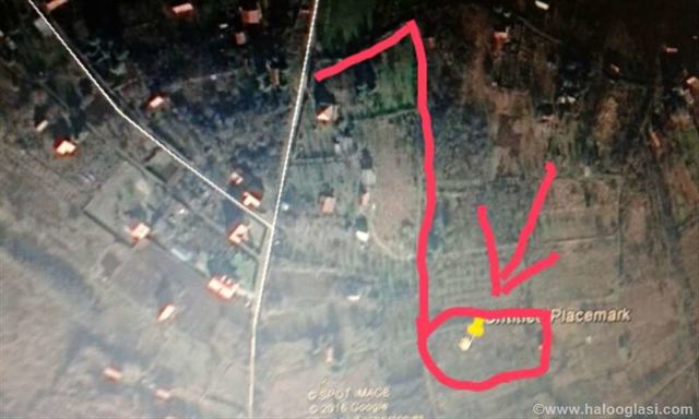 Partizanskih kurira 1, Niš - 17