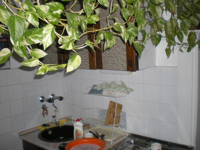 Generala Ždanova 31, Beograd - 5