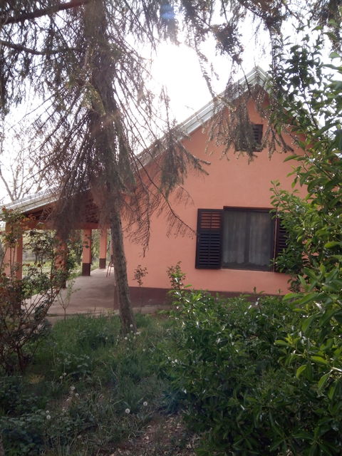 Pinkijeva 5, Irig - 5