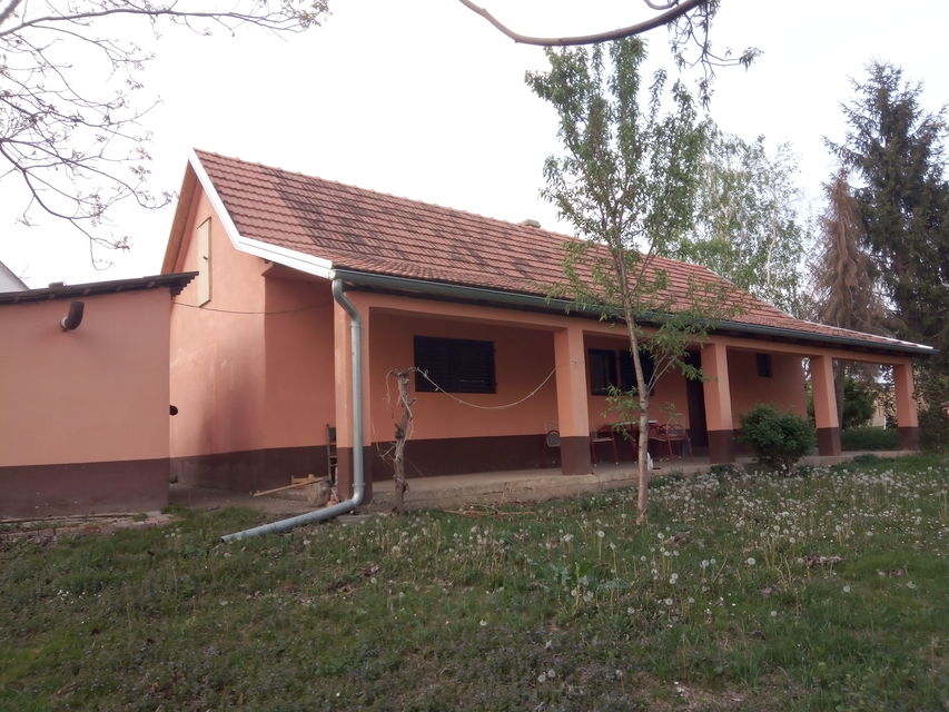 Pinkijeva 5, Irig - 3