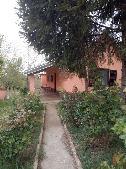 Pinkijeva 5, Irig - 1