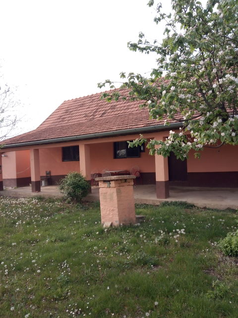 Pinkijeva 5, Irig - 4