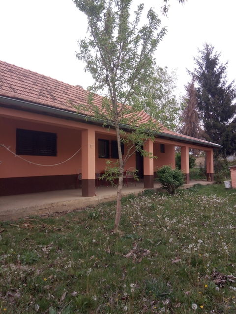 Pinkijeva 5, Irig - 2