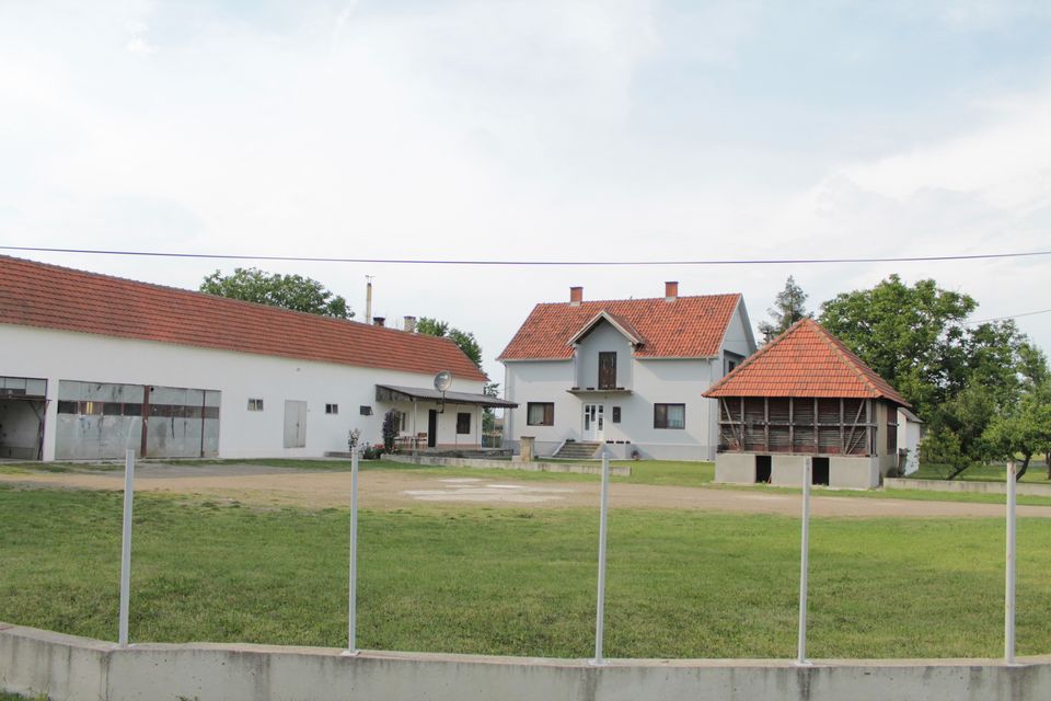 Veliko Polje  320, Veliko Polje