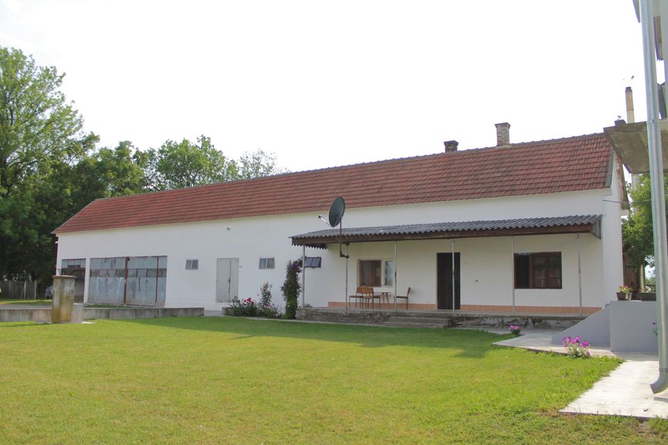 Veliko Polje  320, Veliko Polje - 5