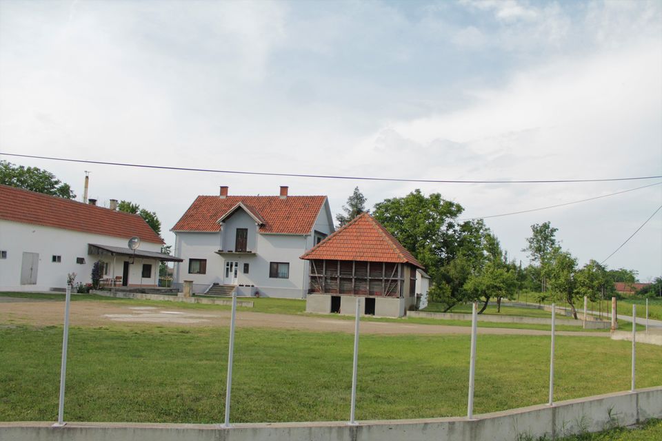 Veliko Polje  320, Veliko Polje - 2