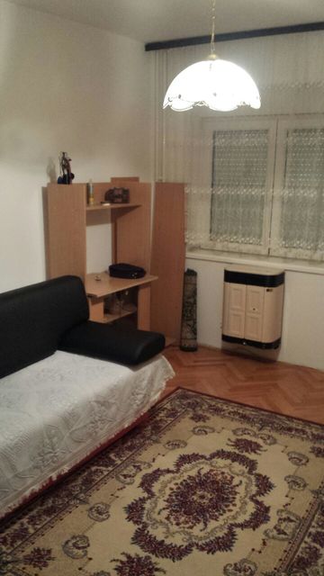 Vojvode Mišića 35, Paraćin - 8