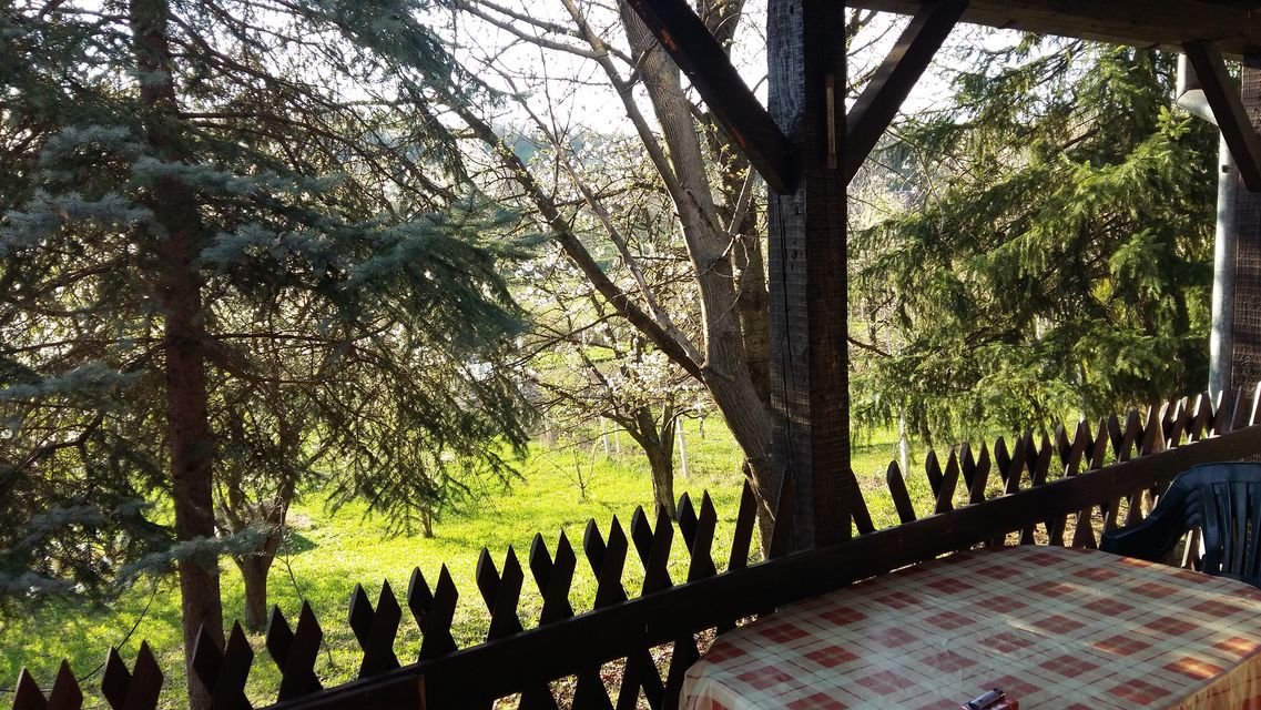 Krušedol selo bb-1, Irig - 4