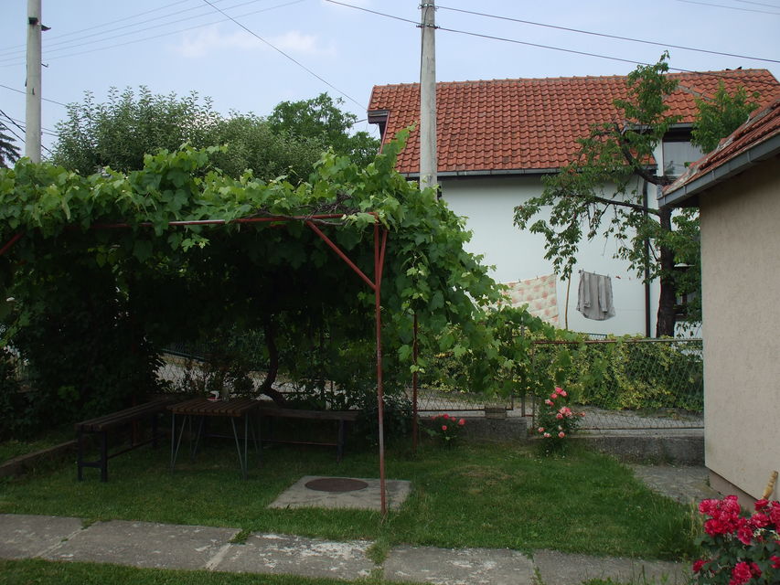 Petnička 11, Valjevo - 2