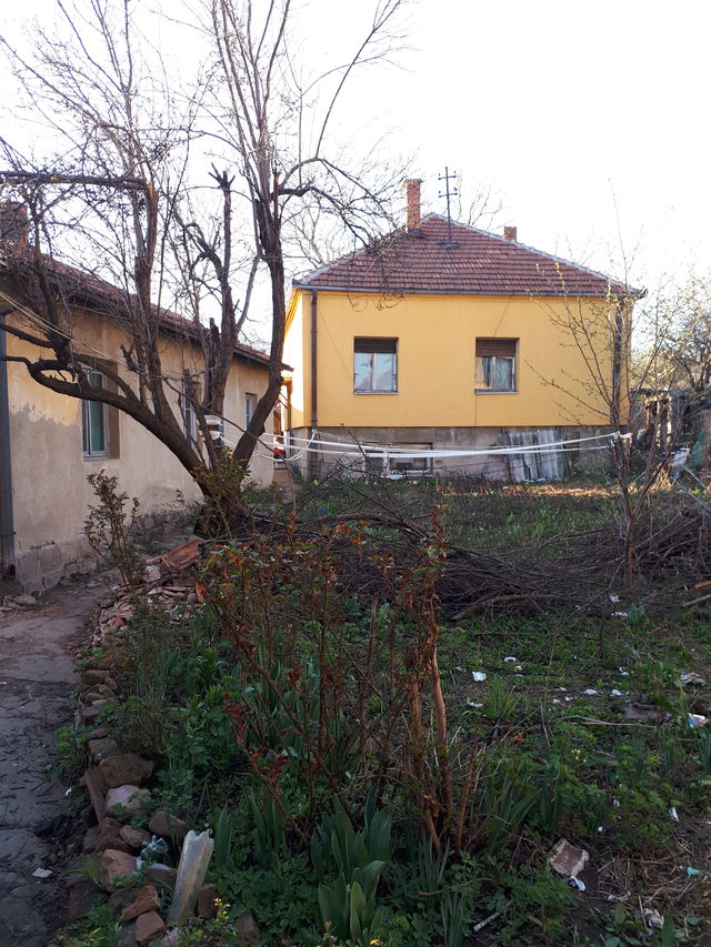 7. Septembra 9, Zaječar - 1