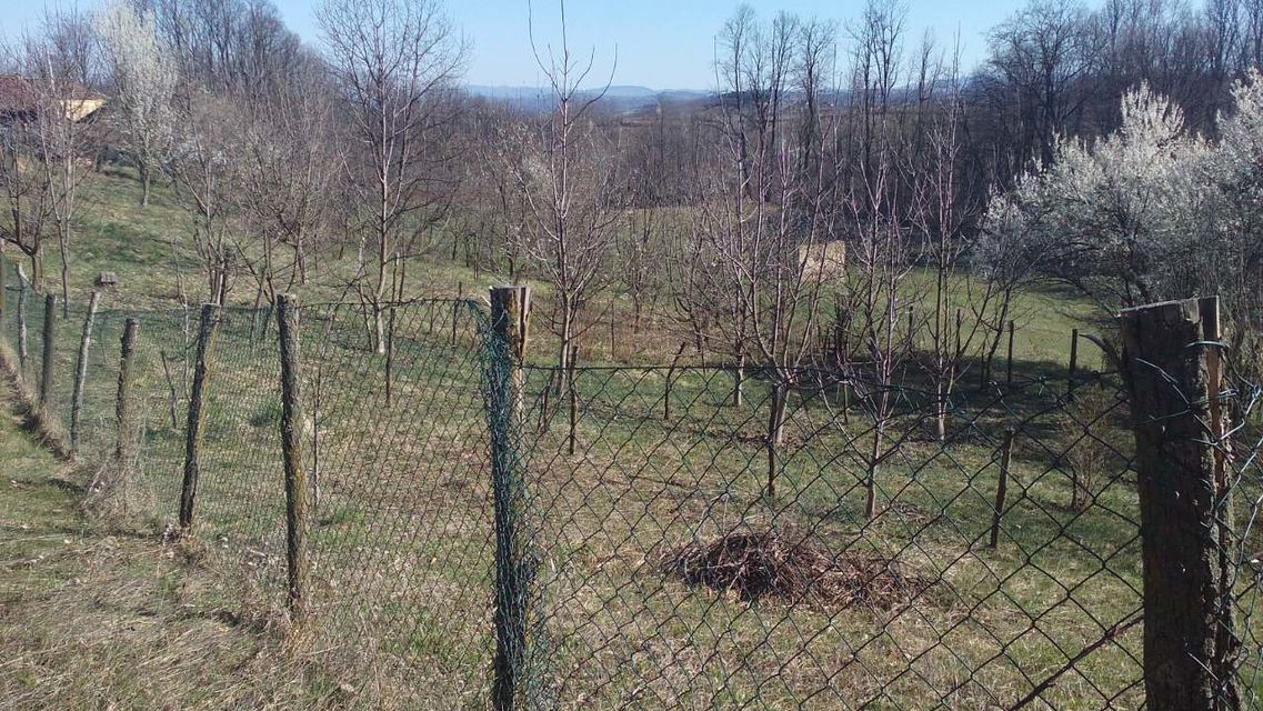 Beomužević bb-1, Beomužević - 6