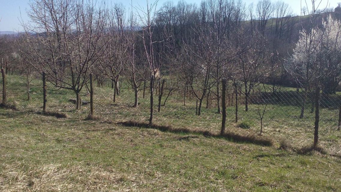 Beomužević bb-1, Beomužević - 5