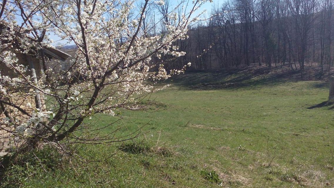 Beomužević bb-1, Beomužević - 4