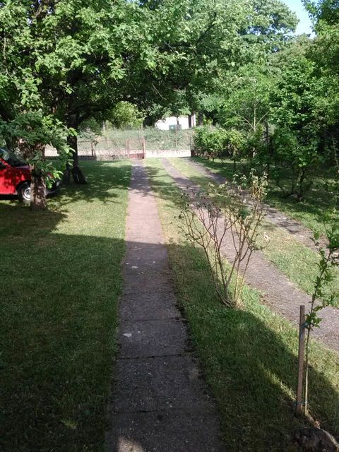 Žike Begojevića 7, Sremska Mitrovica - 4