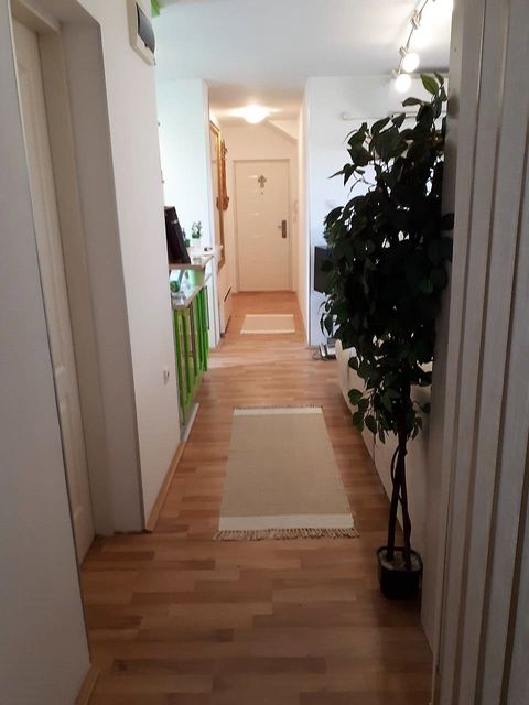 Petefi Šandora 168, Novi Sad - 5