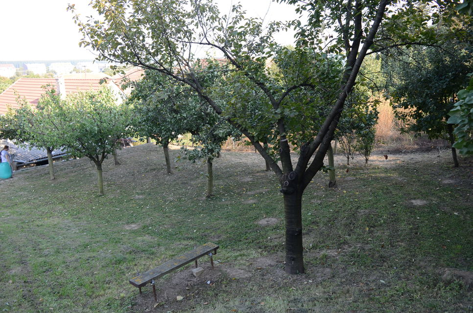 Mažuranićeva 28, Novi Sad - 8