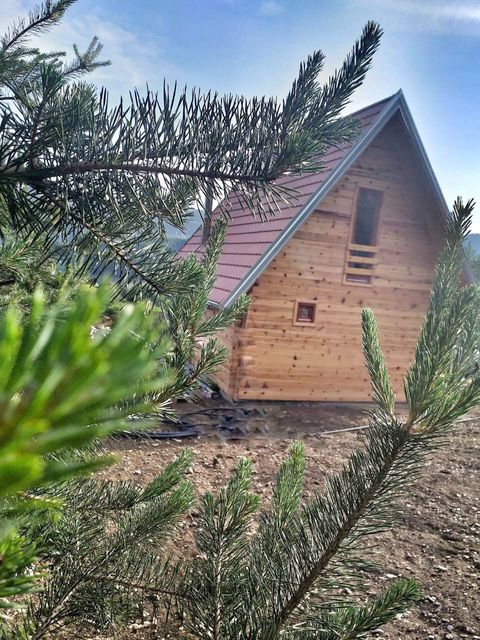 Zaovine 44b, Tara - 13