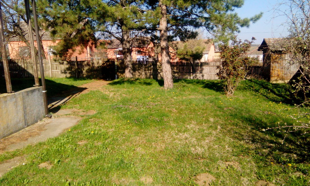 Put za Provo bb-1, Provo - 2