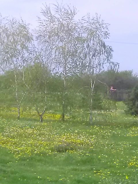 Ivana Milutinovića 81, Mladenovac - 14