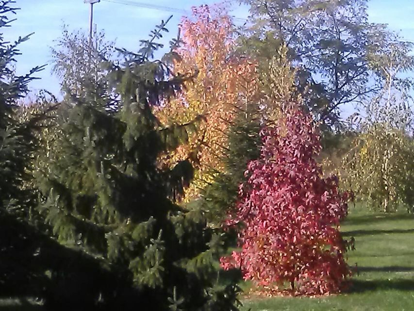 Ivana Milutinovića 81, Mladenovac - 5