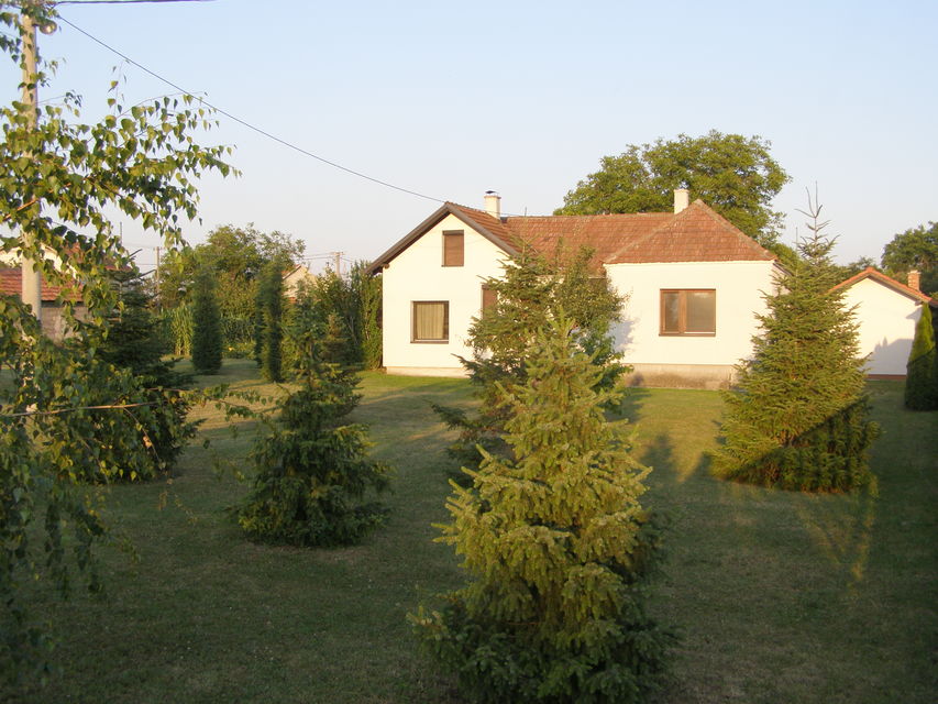 Ivana Milutinovića 81, Mladenovac