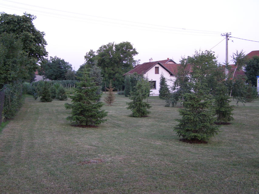 Ivana Milutinovića 81, Mladenovac - 4