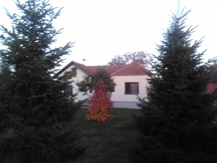 Ivana Milutinovića 81, Mladenovac - 2