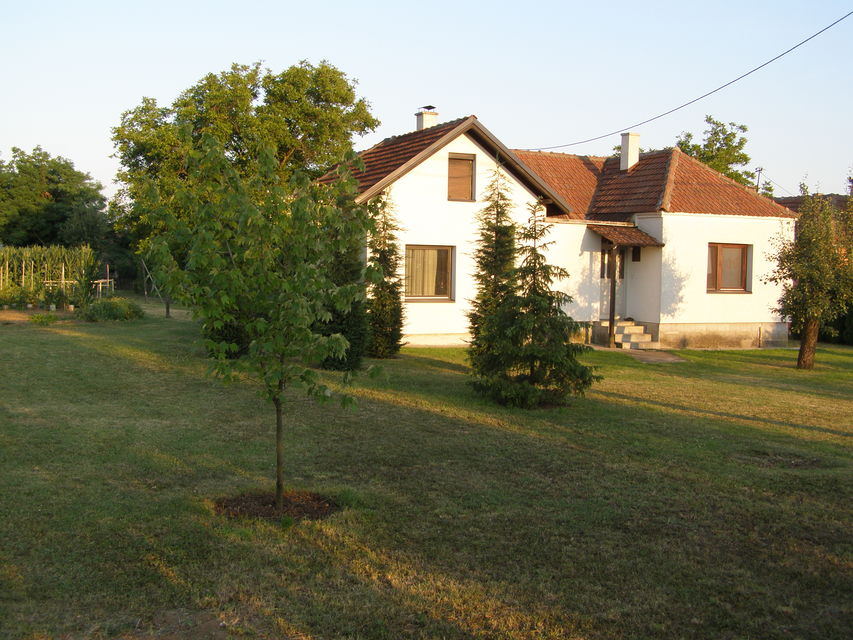 Ivana Milutinovića 81, Mladenovac - 3