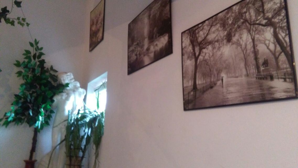 Bekerelova 38, Beograd - 4