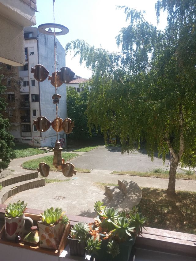 Raše Plaovića 14, Beograd - 10