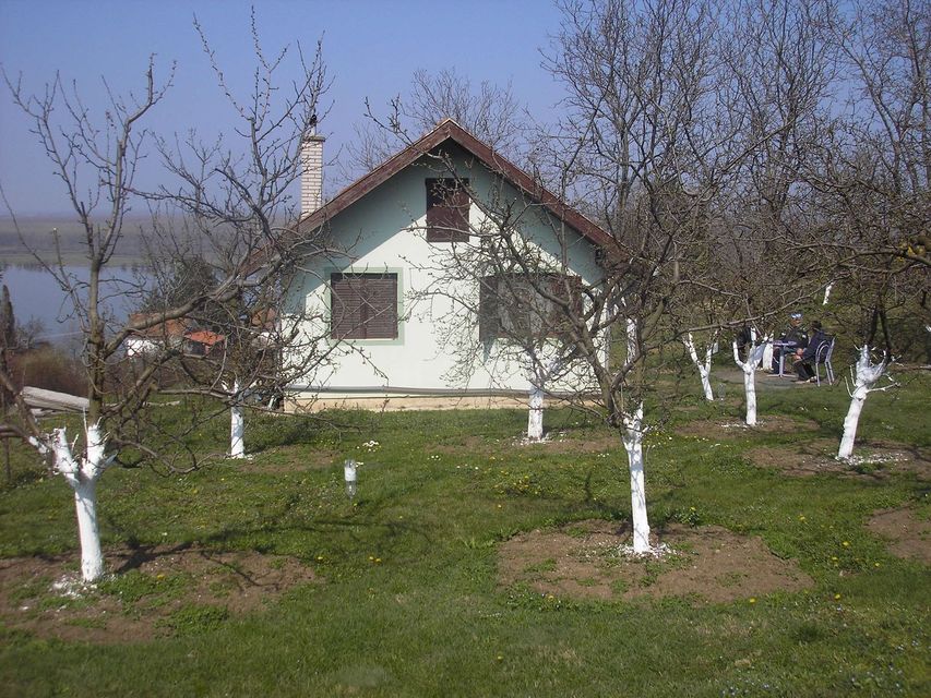 Bačka 79, Krčedin - 1