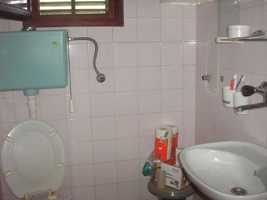 Bačka 79, Krčedin - 3