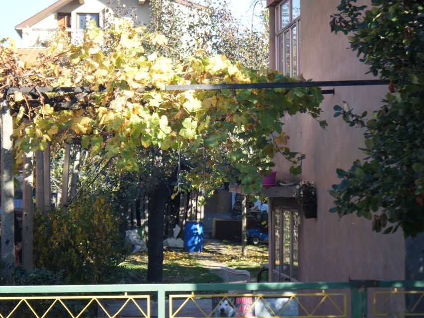 Dubrovačka 14, Niš - 15