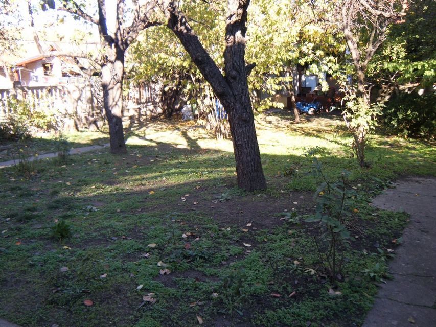 Dubrovačka 14, Niš - 6