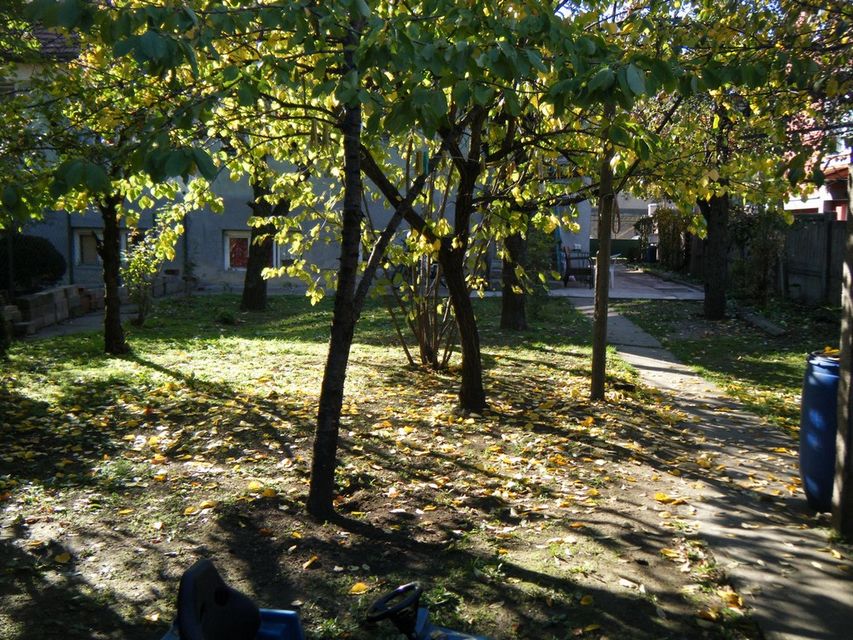 Dubrovačka 14, Niš - 8