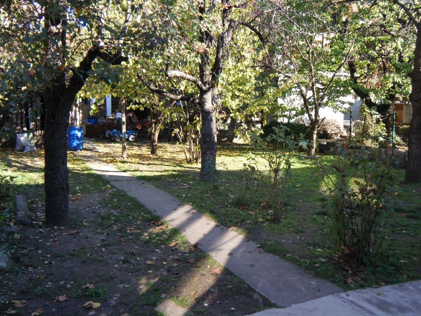 Dubrovačka 14, Niš - 5