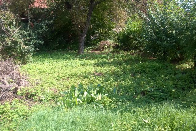  Žikice Jovanovića Španca 78, Leskovac - 7