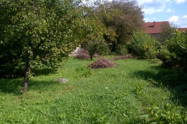  Žikice Jovanovića Španca 78, Leskovac - 5