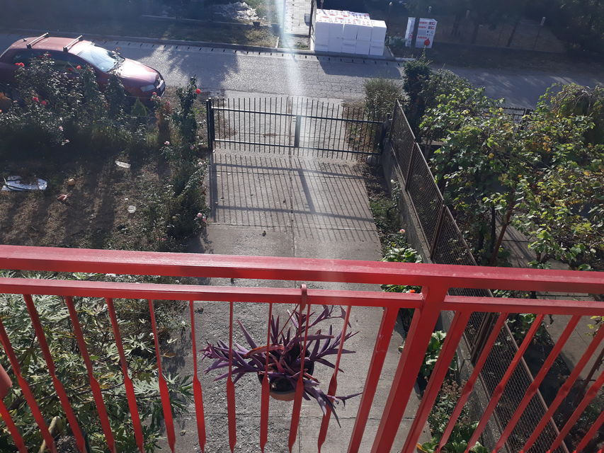 Sremska 40, Stara Pazova - 3