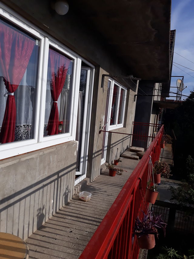 Sremska 40, Stara Pazova - 4