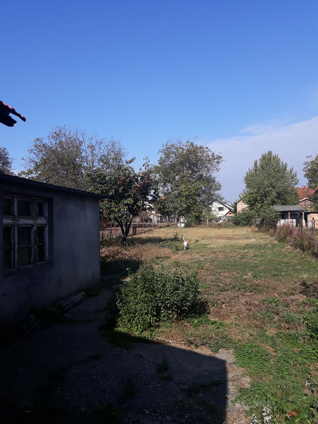 Sremska 40, Stara Pazova - 8