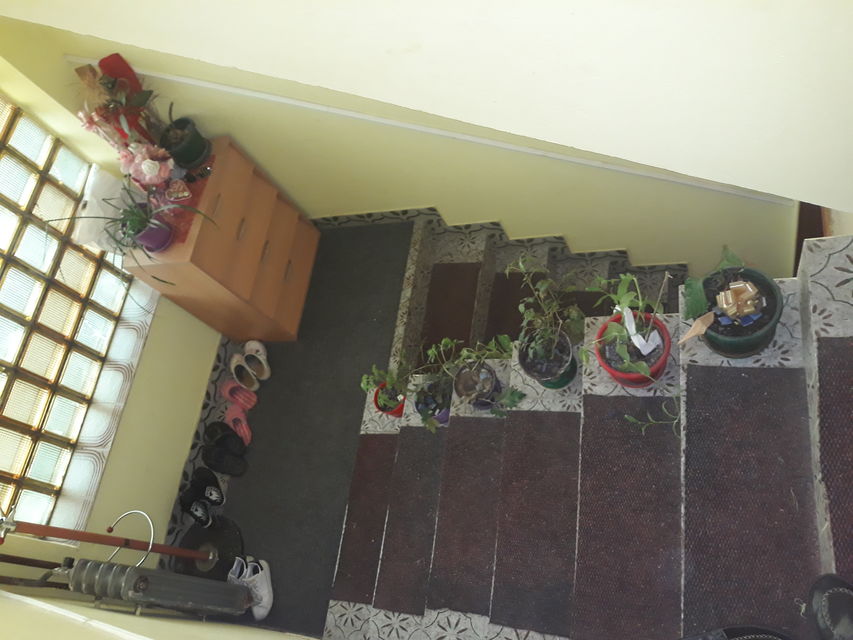 Sremska 40, Stara Pazova - 9