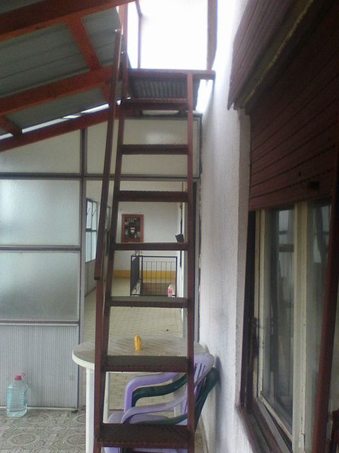 Ognjena Price 26a, Apatin - 11