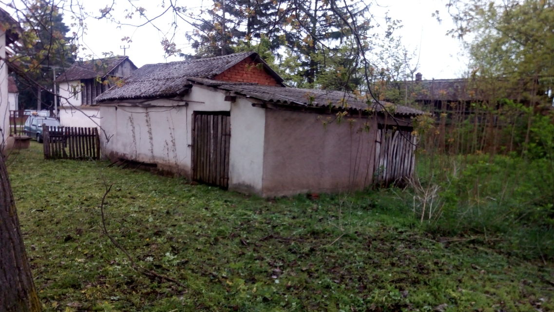 Vojvođanska 31, Zasavica - 8