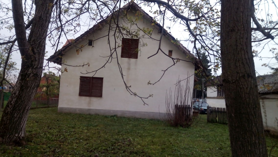 Vojvođanska 31, Zasavica - 2